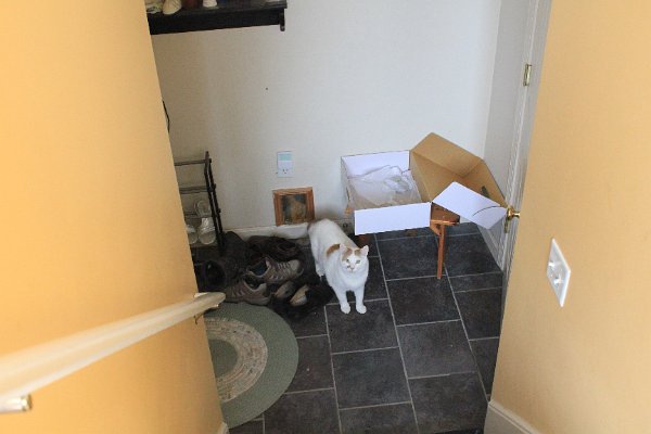 New Camera Dec2010 377